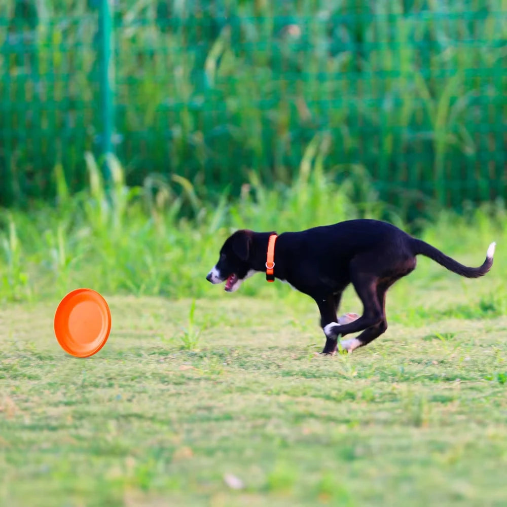 Aerodynamic Training Disc