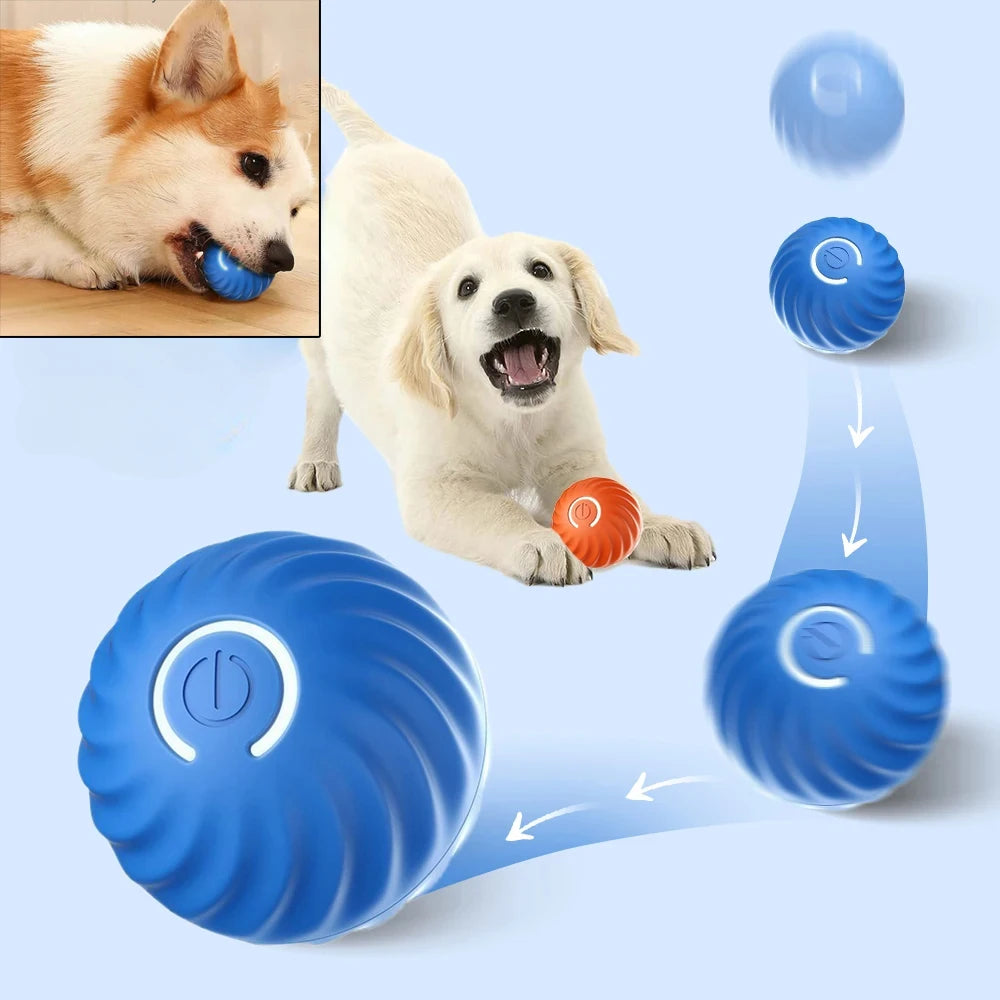 Smart Interactive Rolling Ball