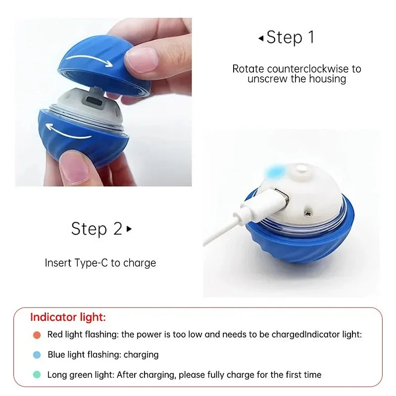 Smart Interactive Rolling Ball