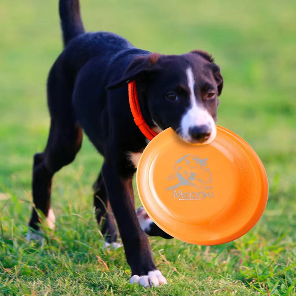 Aerodynamic Training Disc
