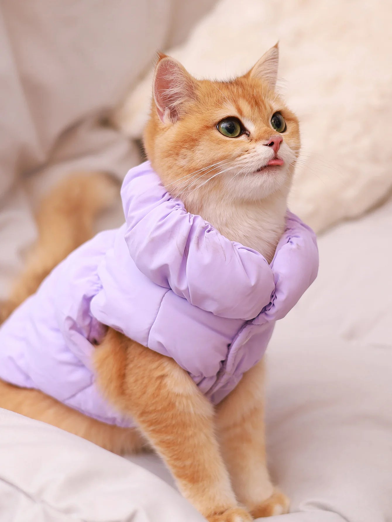 Thermal Winter Dog Jacket