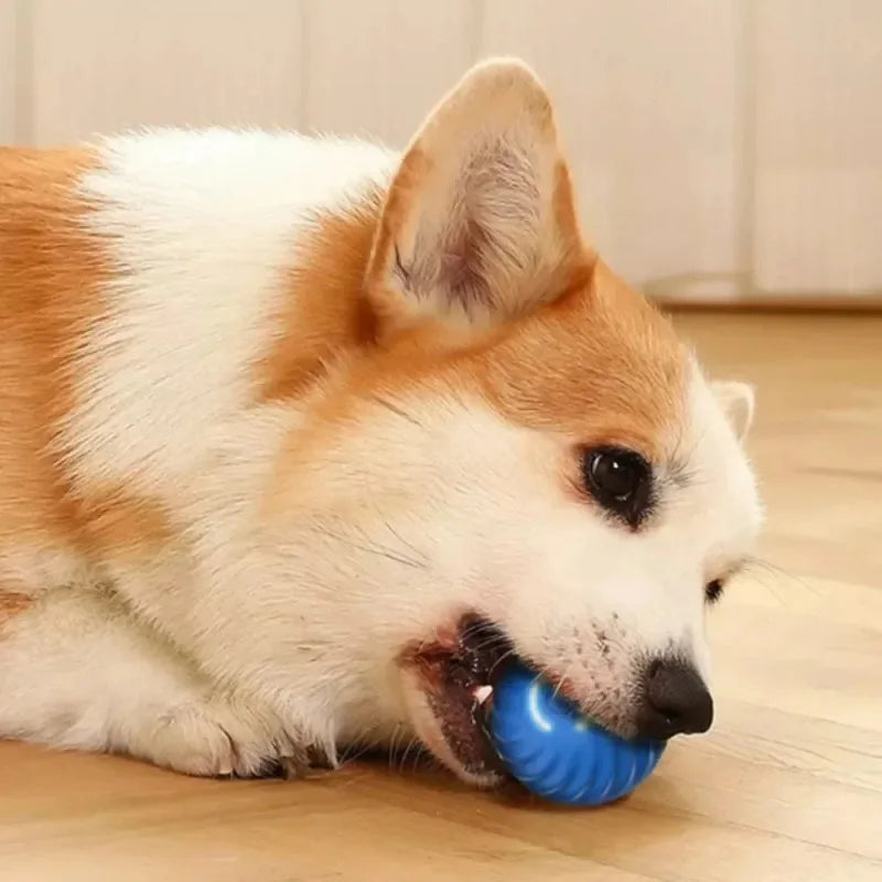 Smart Interactive Rolling Ball