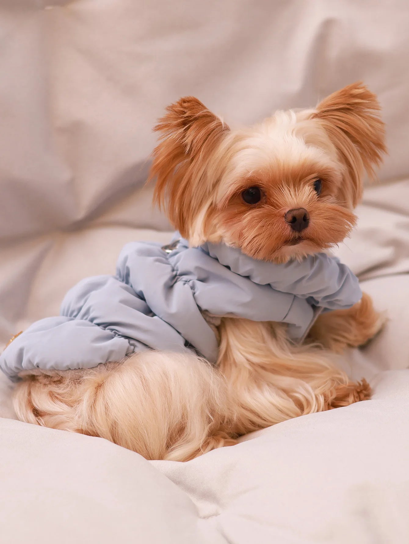 Thermal Winter Dog Jacket