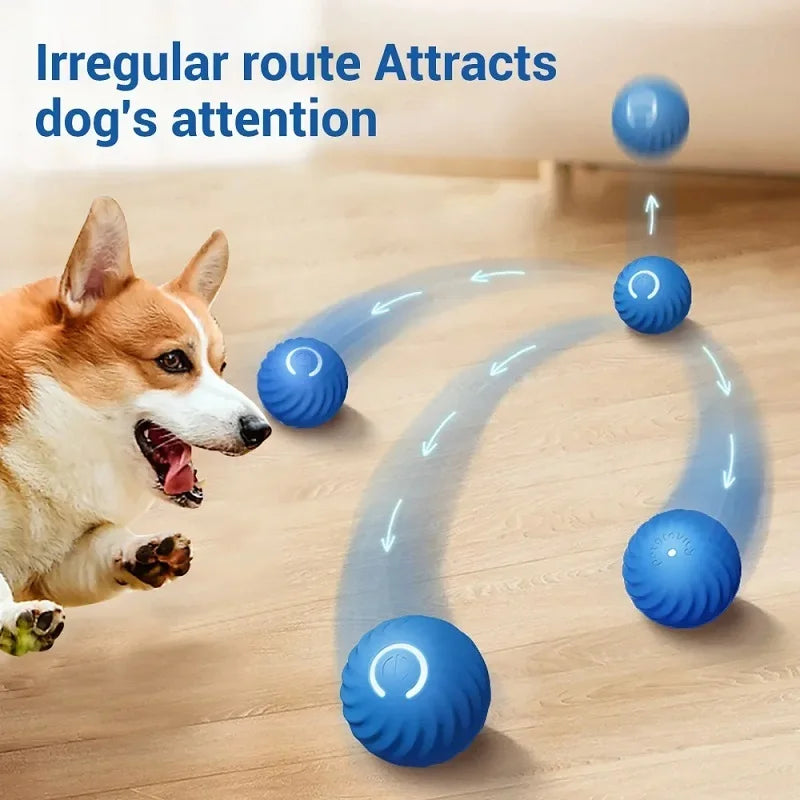 Smart Interactive Rolling Ball