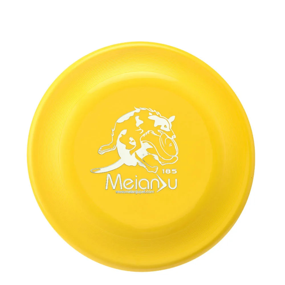 Aerodynamic Training Disc