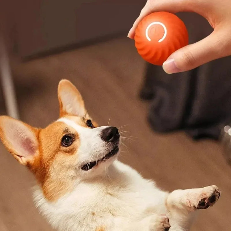 Smart Interactive Rolling Ball