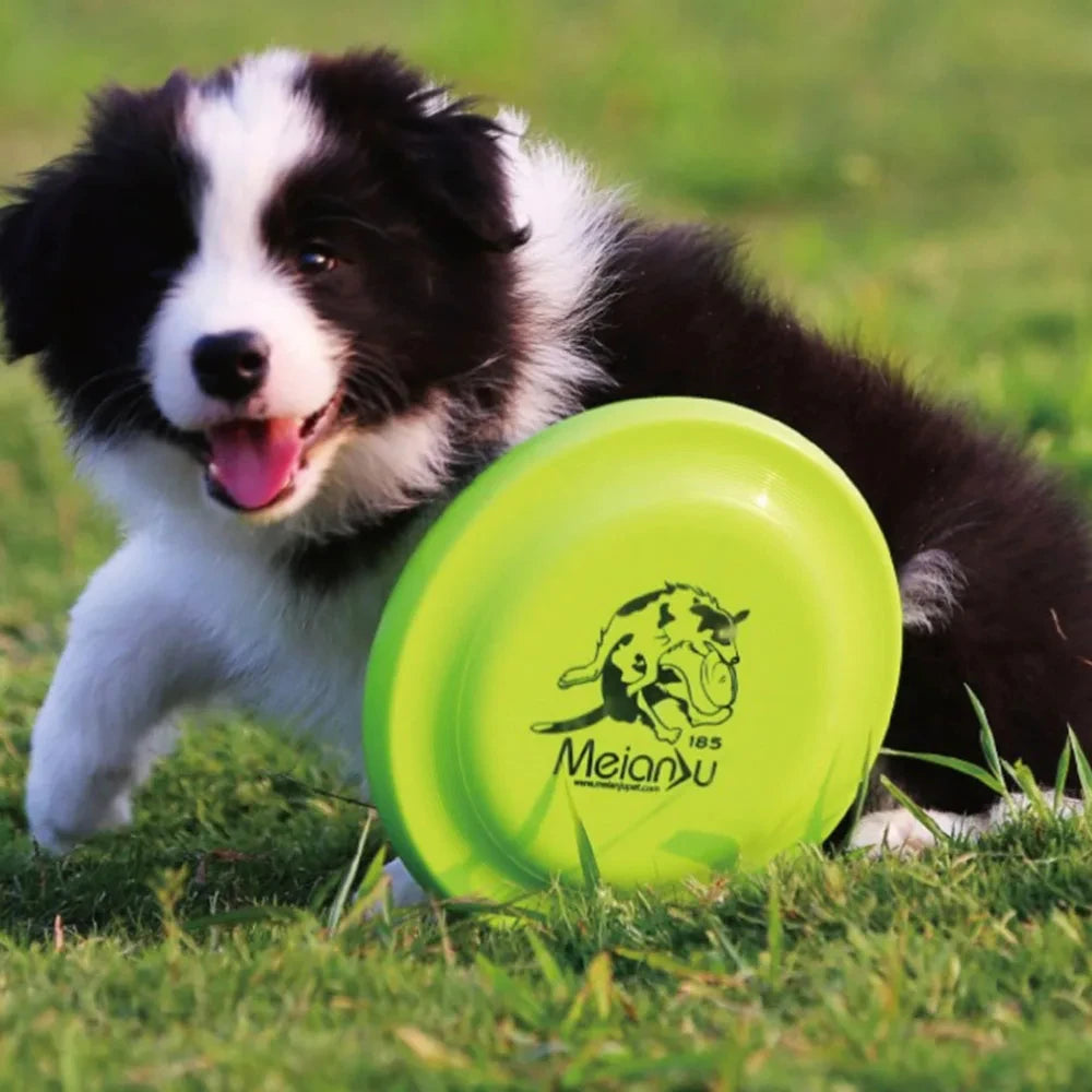 Aerodynamic Training Disc