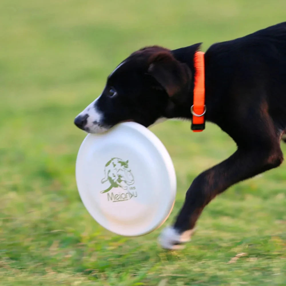 Aerodynamic Training Disc